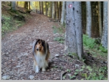 Slika_016.webp