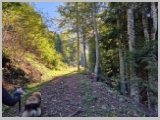 Slika_017.webp