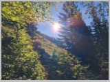 Slika_020.webp