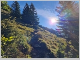 Slika_021.webp