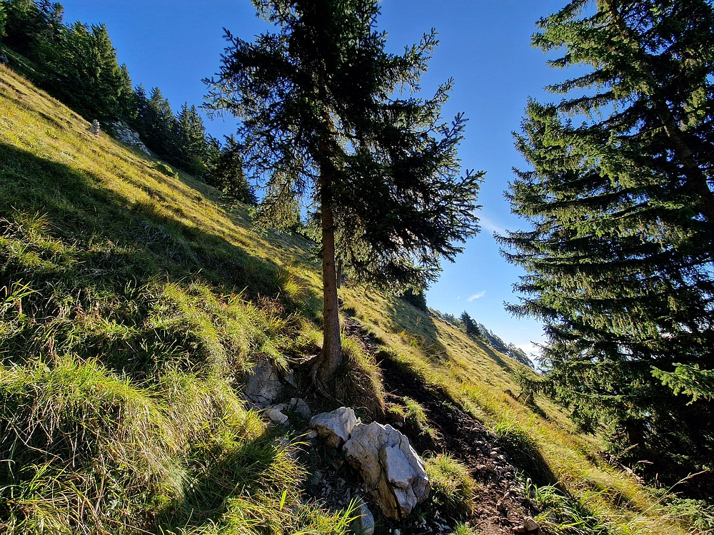 Tolsti vrh, 4. 10. 2025