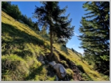 Slika_023.webp