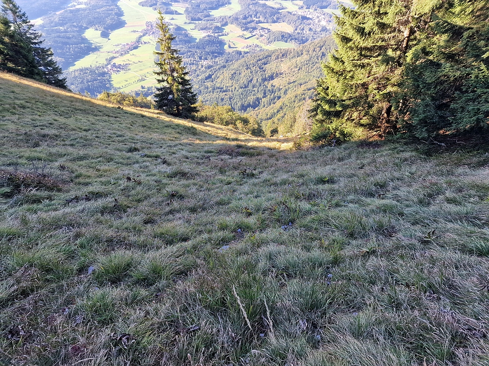 Tolsti vrh, 4. 10. 2025