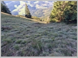 Slika_025.webp
