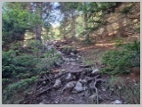 Slika_029.webp
