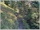 Slika_030.webp