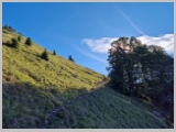 Slika_031.webp