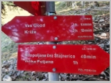 Slika_037.webp