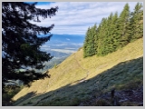 Slika_039.webp