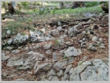 Slika_040.webp