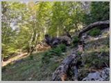 Slika_042.webp