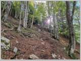 Slika_043.webp