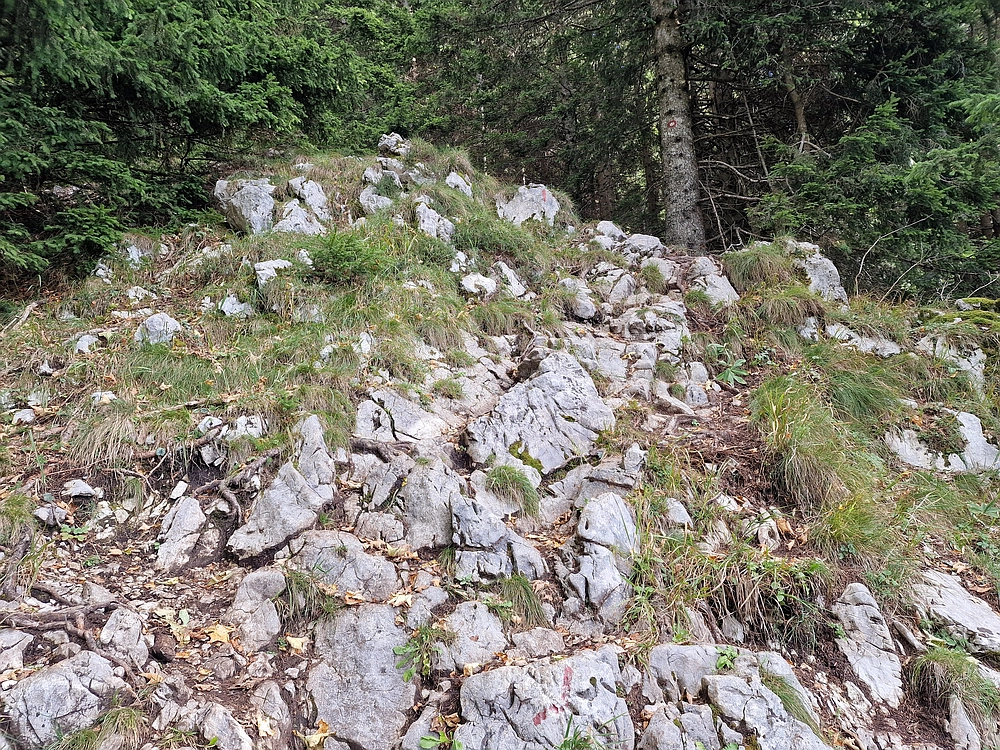 Tolsti vrh, 4. 10. 2025