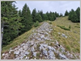 Slika_053.webp
