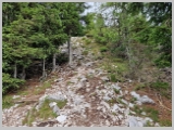 Slika_057.webp