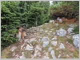 Slika_058.webp