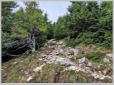 Slika_059.webp