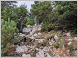 Slika_061.webp