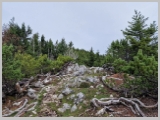 Slika_063.webp