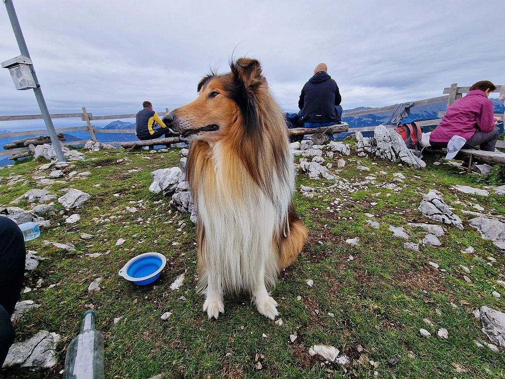 Tolsti vrh, 4. 10. 2025