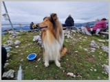 Slika_080.webp