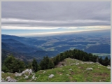 Slika_081.webp