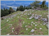 Slika_090.webp