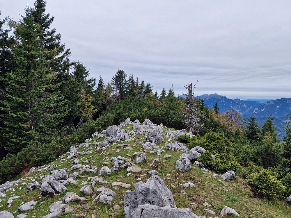 Tolsti vrh, 4. 10. 2025