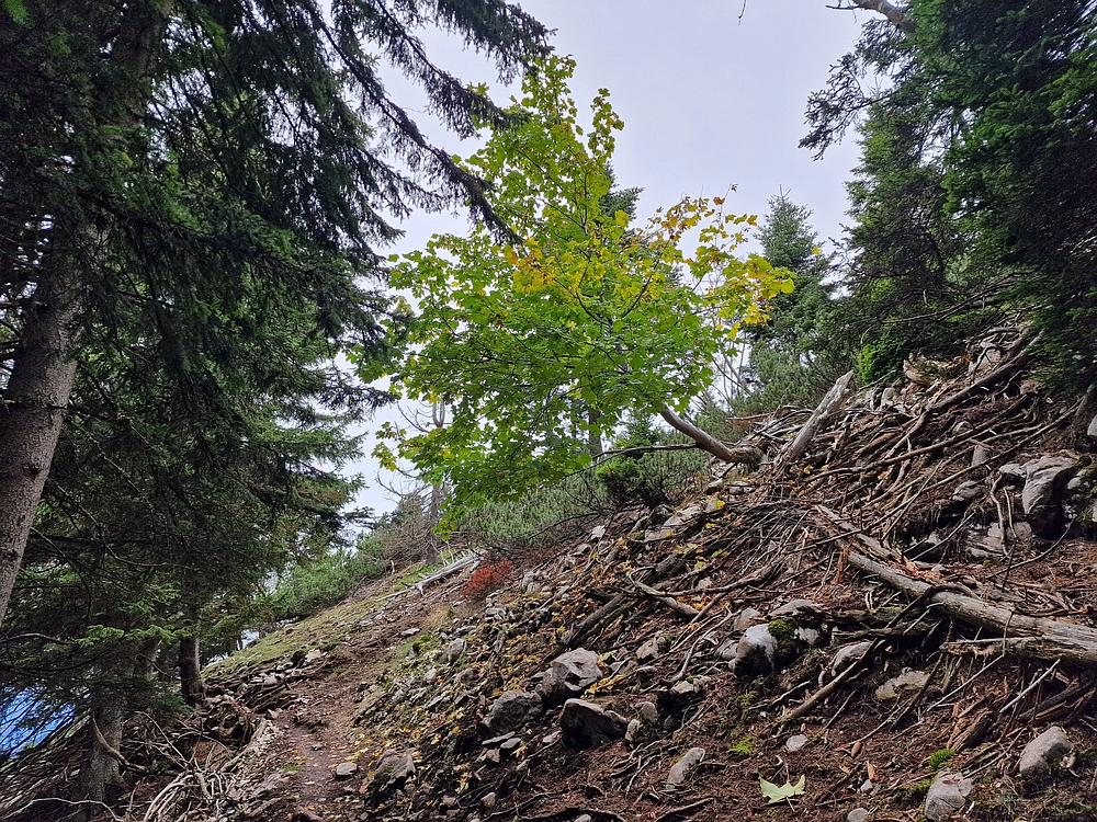 Tolsti vrh, 4. 10. 2025