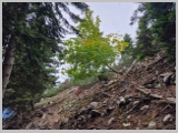 Slika_093.webp