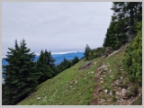 Slika_102.webp