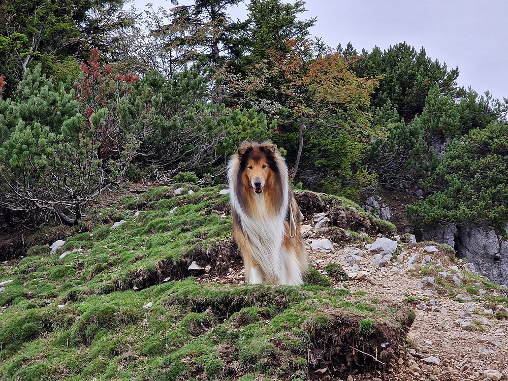 Tolsti vrh, 4. 10. 2025