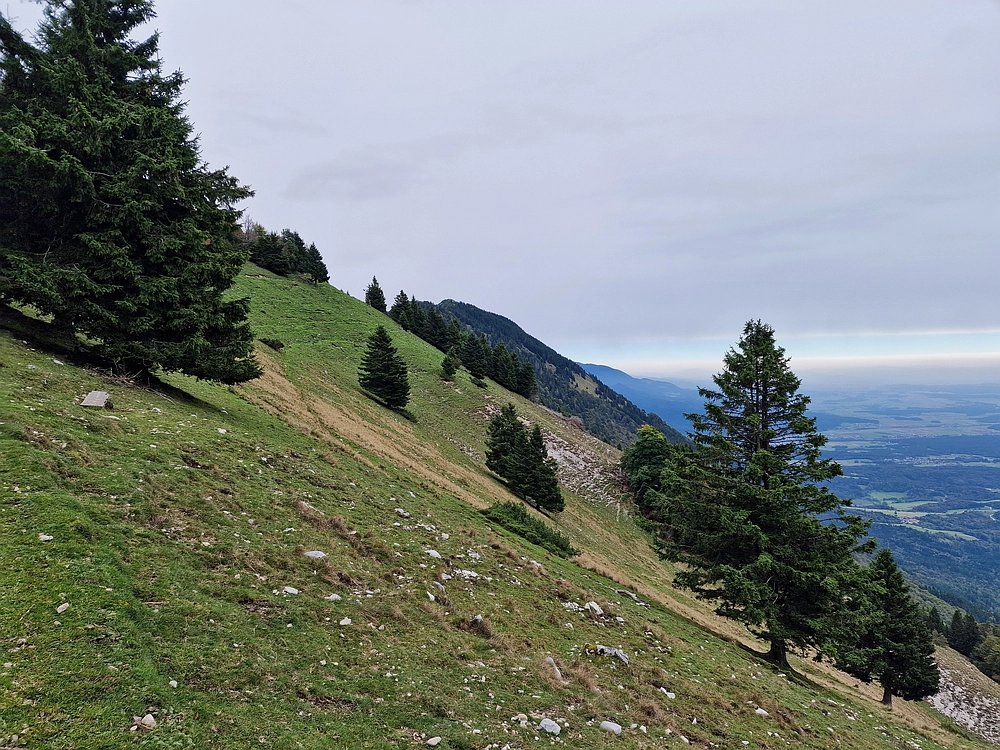 Tolsti vrh, 4. 10. 2025