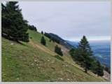 Slika_108.webp