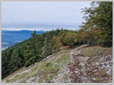 Slika_110.webp