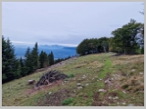 Slika_111.webp