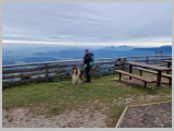 Slika_121.webp