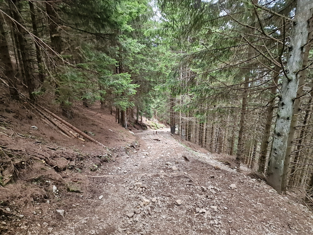 Tolsti vrh, 4. 10. 2025