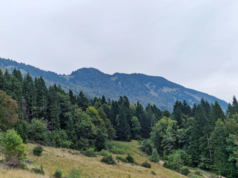 Tolsti vrh, 4. 10. 2025