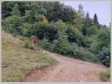 Slika_140.webp