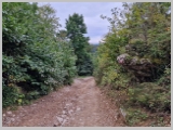 Slika_141.webp