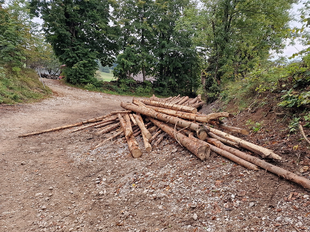 Tolsti vrh, 4. 10. 2025