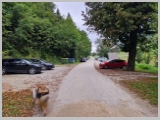 Slika_146.webp