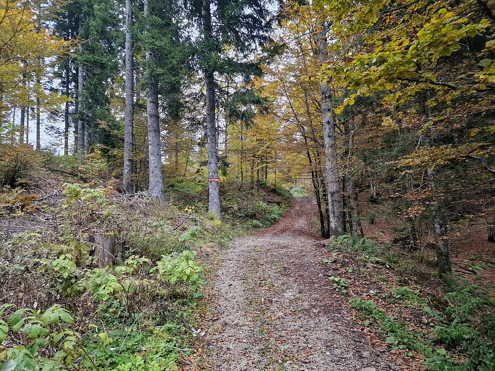 Ratitovec, 12. 10. 2025