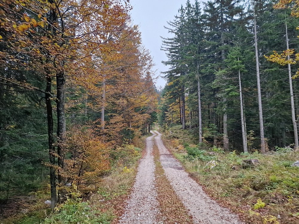 Ratitovec, 12. 10. 2025