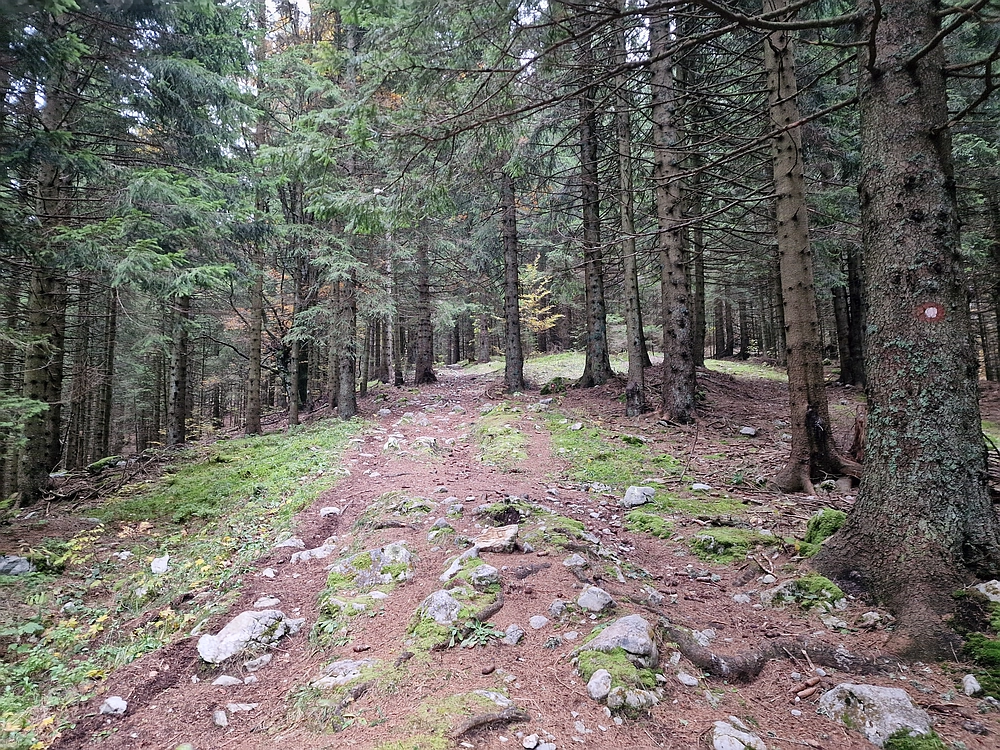 Ratitovec, 12. 10. 2025