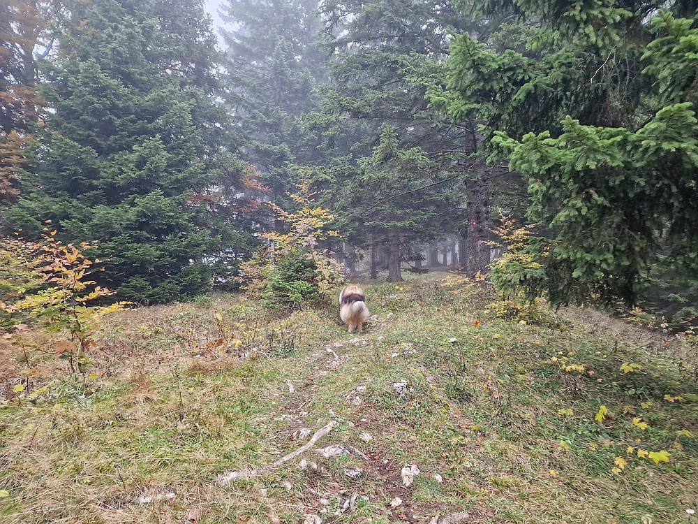 Ratitovec, 12. 10. 2025