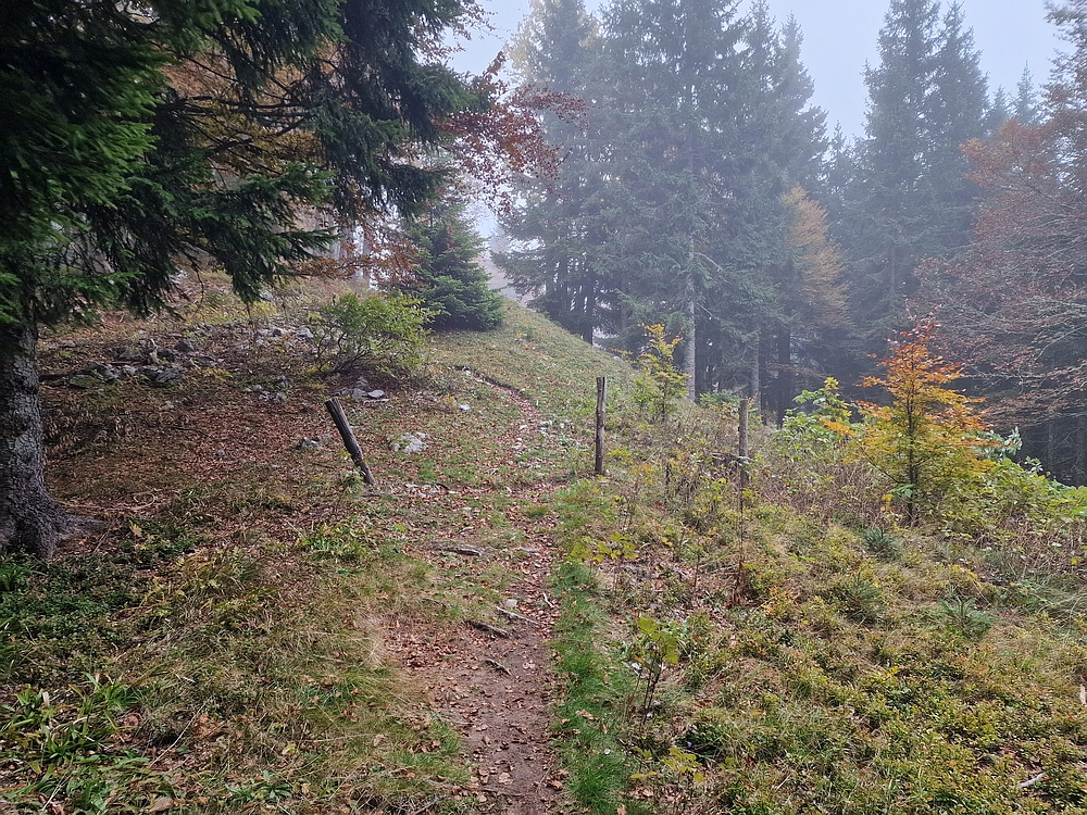 Ratitovec, 12. 10. 2025