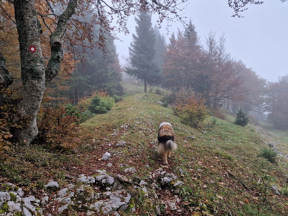 Ratitovec, 12. 10. 2025