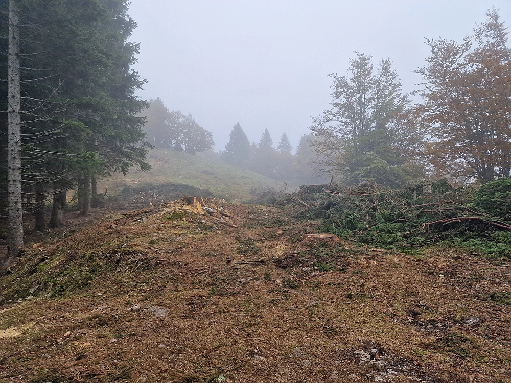 Ratitovec, 12. 10. 2025